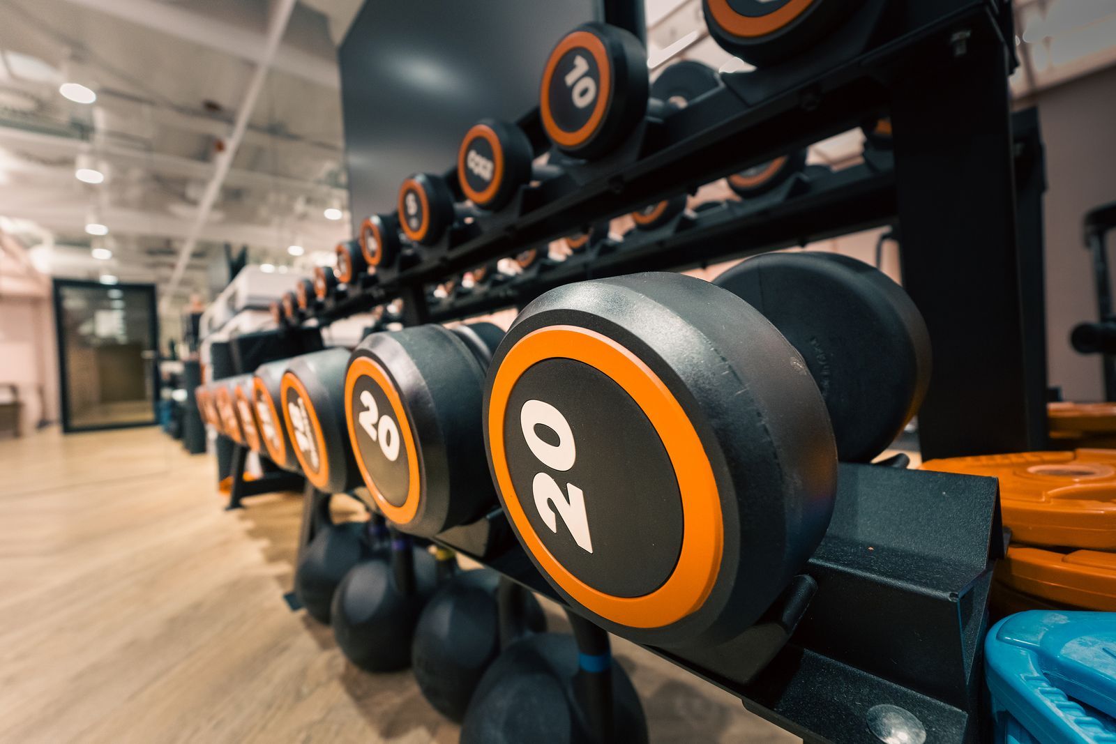 Racks of chrome dumbbells from 2.5kg to 60kg on the Pulse strength floor