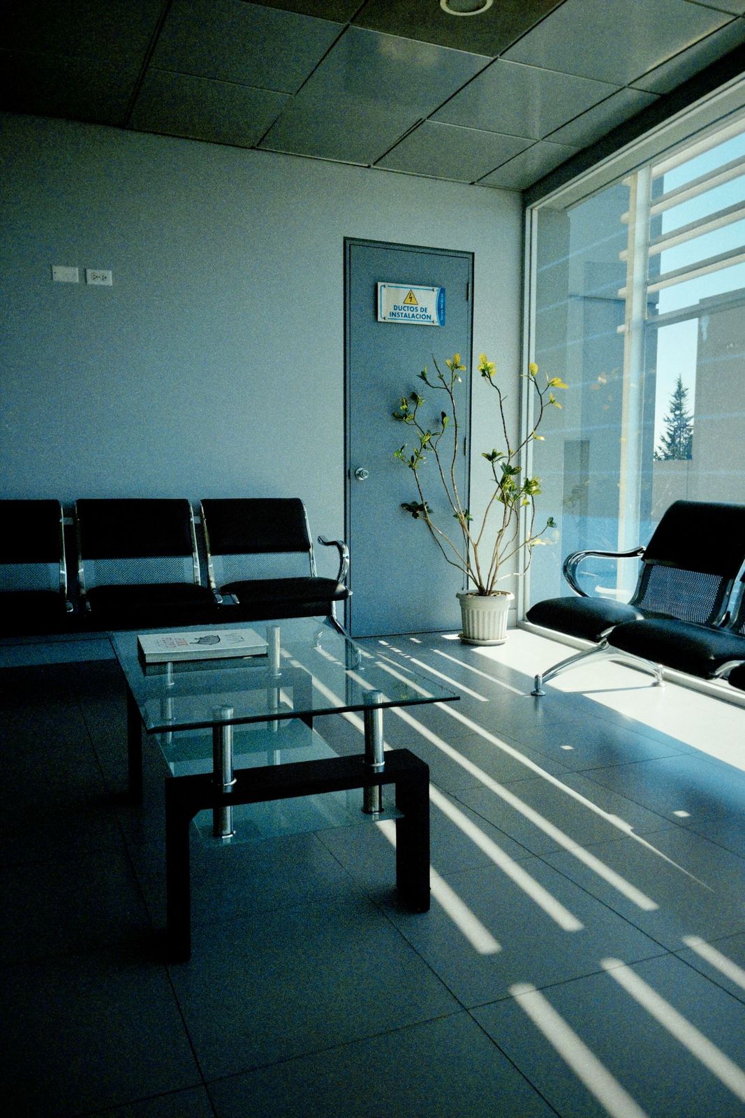 The waiting area at Clearview Clinic with natural light through full-height windows