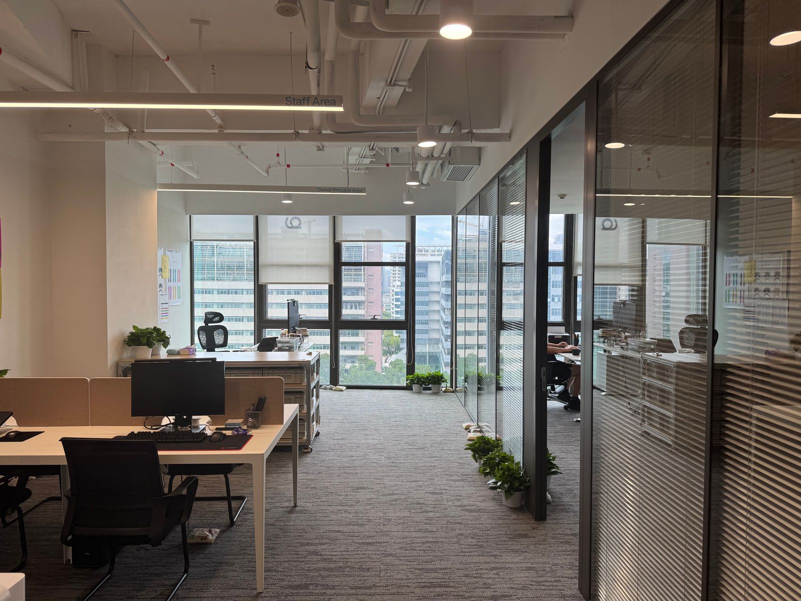 Crestwell's open-plan office: desks, monitors and plants beneath a high ceiling