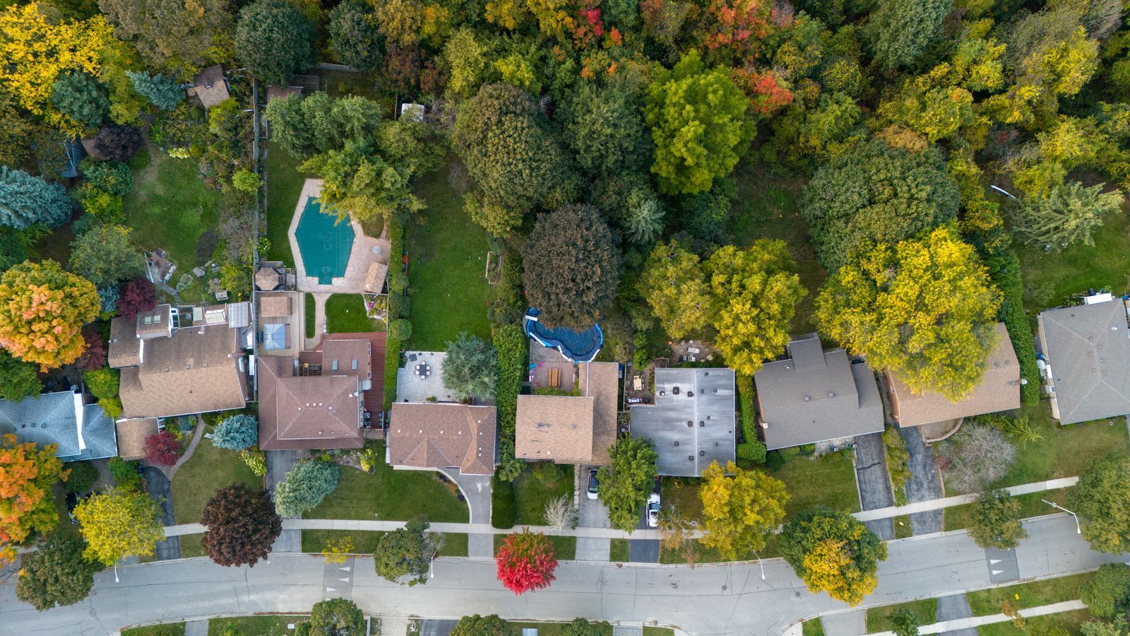 An aerial view over a leafy neighbourhood, with detached houses, gardens and mature trees